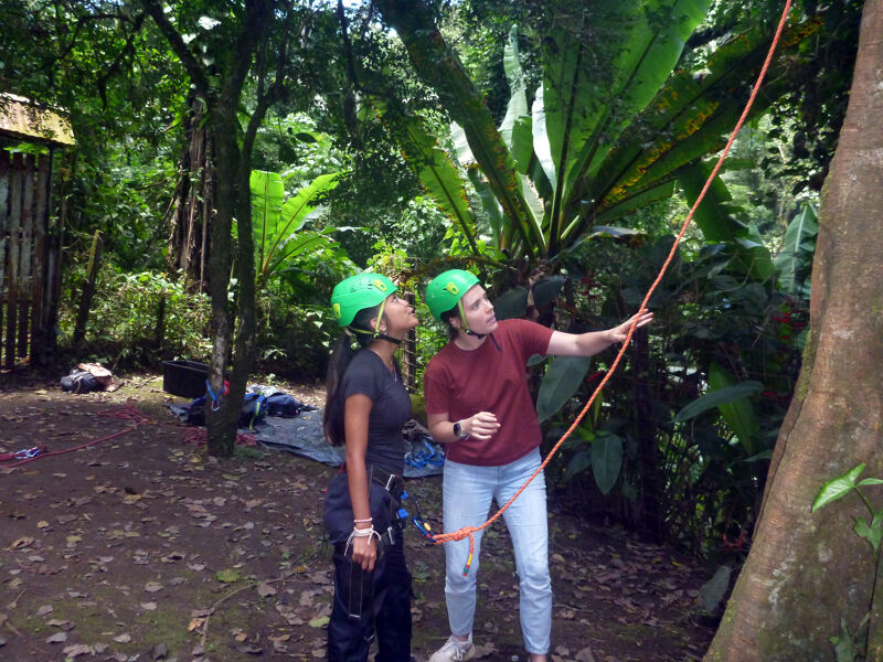 In the image, two people wearing helmets are standing in a forest. One person is pointing at a rope that is attached to a tree. They appear to be preparing for or engaged in an outdoor activity, possibly climbing or rappelling. The environment is lush and green, suggesting a tropical location.